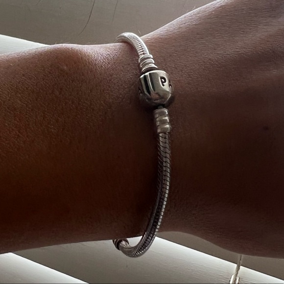 Pandora Silver Charm Bracelet - Picture 3 of 3